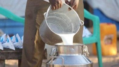 Milk-Amravati-Mandal