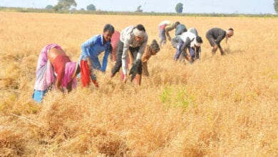 photo-caption-amravati-mandal
