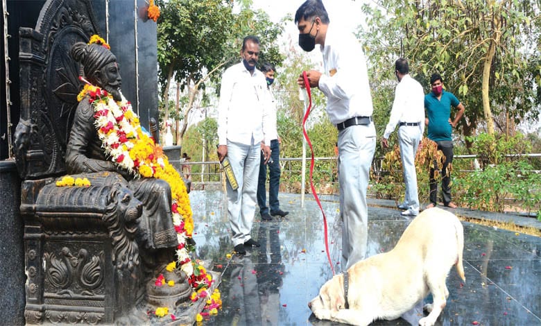 shiv-jayanti-bdds-amravati-mandal