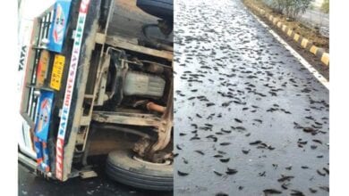 truck-overturned-amravati-mandal