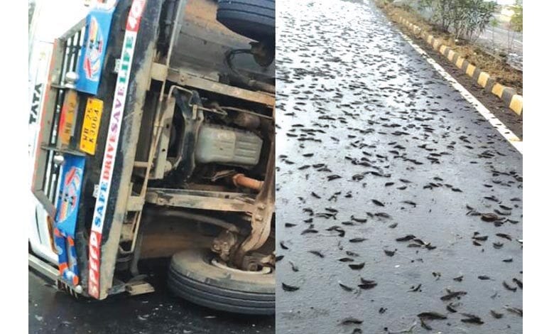 truck-overturned-amravati-mandal