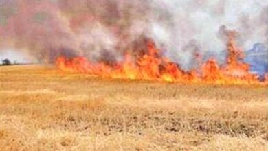 Fire-amravati-mandal