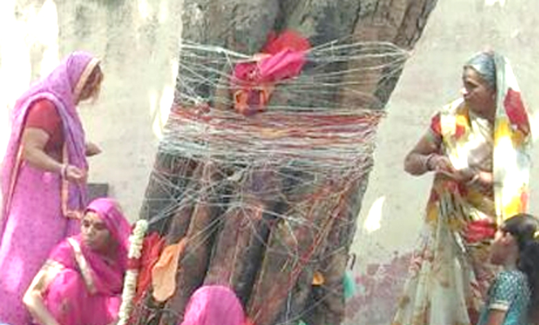 Tree-worship-amravati-mandal