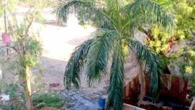 Trespassing-and-illegal-trades-amravati-mandal
