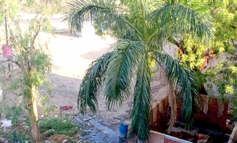 Trespassing-and-illegal-trades-amravati-mandal