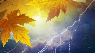 Lightning-Fall-amravati-mandal