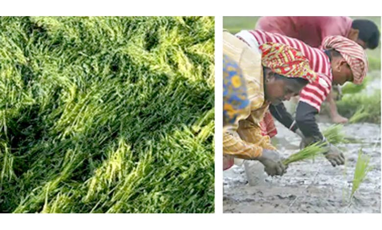 Farmers-amravati-mandal