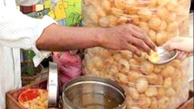 Pani-puri-amravati-mandal