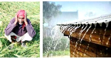 Unseasonal-Rain-amravati-mandal