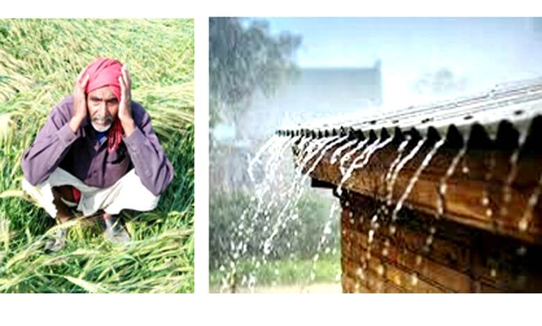 Unseasonal-Rain-amravati-mandal