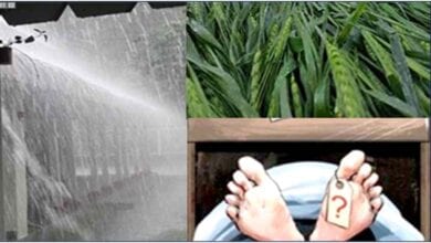 Unseasonal-Rain-amravati-mandal