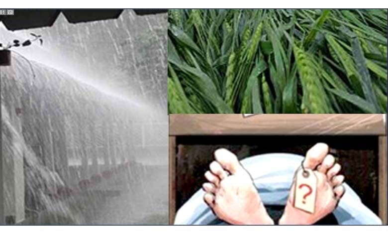 Unseasonal-Rain-amravati-mandal