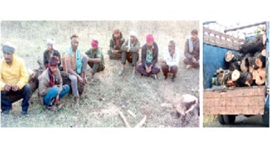 Illegal-Tree-Harvesting-amravati-mandal