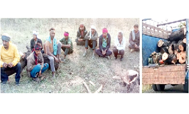 Illegal-Tree-Harvesting-amravati-mandal