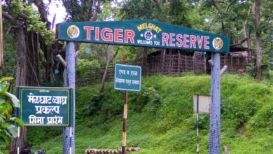 Melghat-Tiger-Project-amravati-mandal