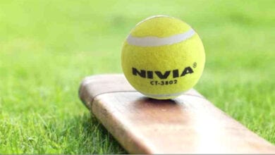 Tennis-Ball-Cricket-amravati-mandal