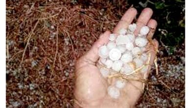Drizzle-amravati-mandal