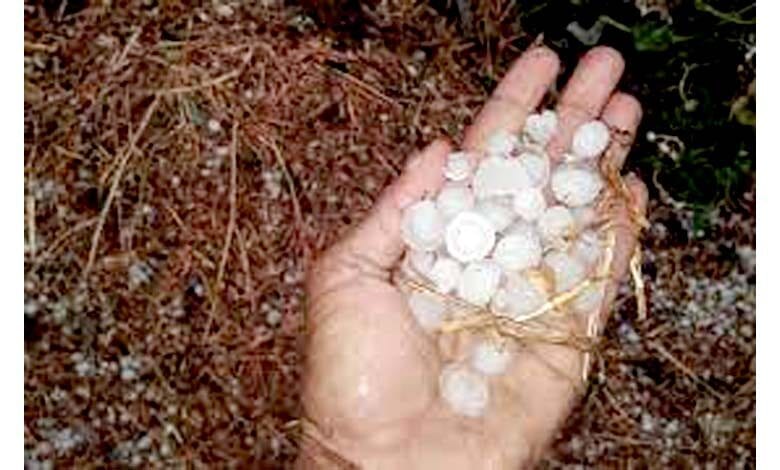 Drizzle-amravati-mandal