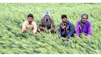 Farmers-amravati-mandal