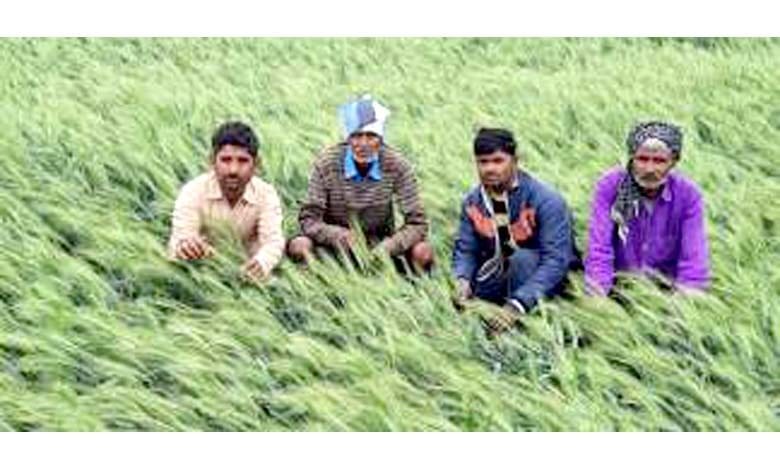Farmers-amravati-mandal