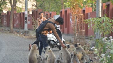 photo-caption-amravati-mandal