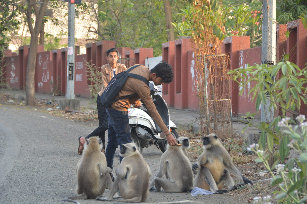 photo-caption-amravati-mandal