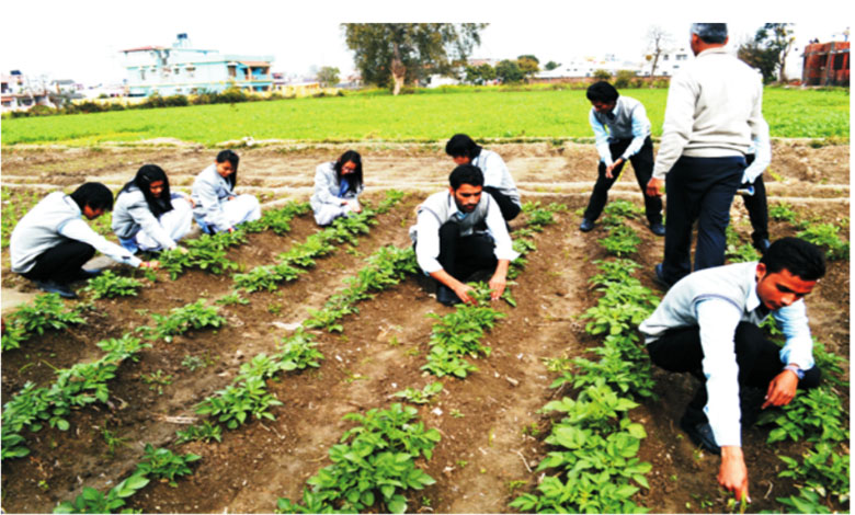 Agreeculture-Amravati-Mandal