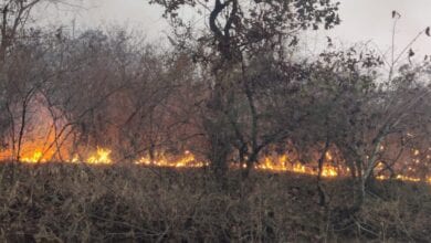 Fire-Amravati-Mandal