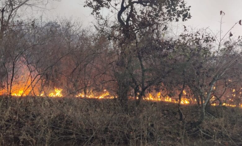 Fire-Amravati-Mandal