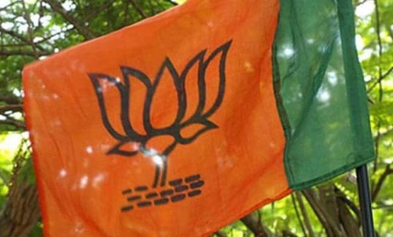bjp-amravati-mandal