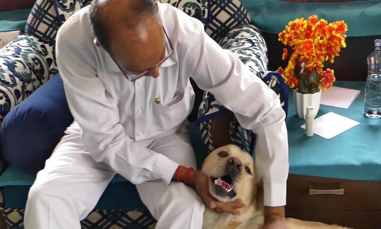 dog-amravati-mandal