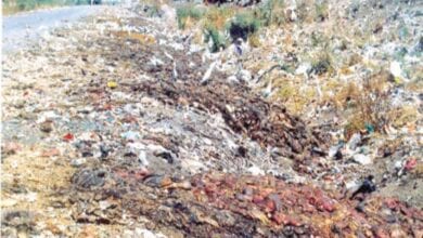 dumping-amravati-mandal
