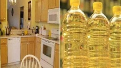 edible-oil-amravati-mandal