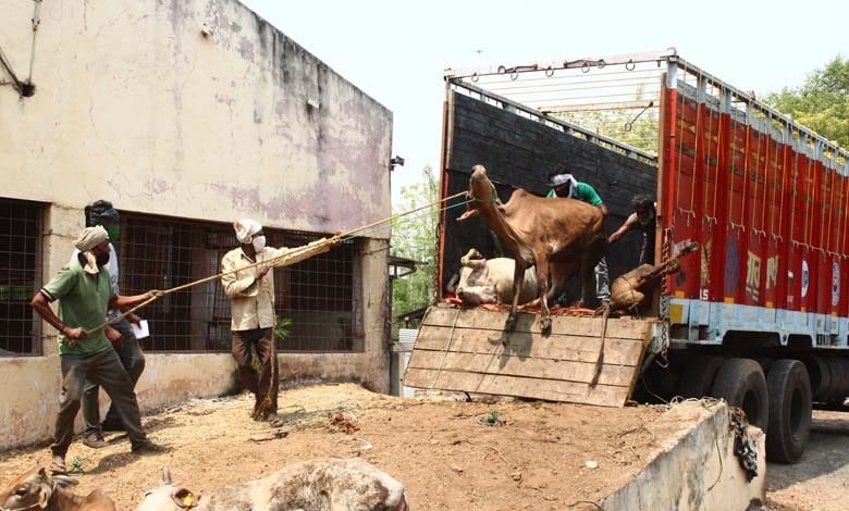 gauvansh-amravati-mandal
