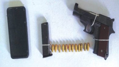 pistol-amravati-mandal