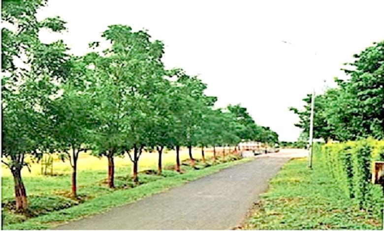 University-Amravati-Mandal