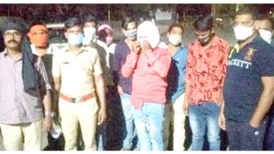 Illegal-Tree-Felling-Cases-amravati-mandal
