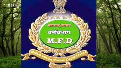 Forest-Department-amravati-mandal