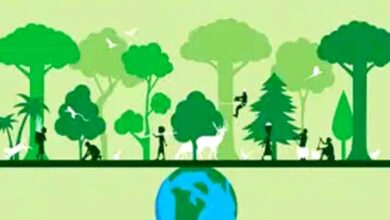Environment-amravati-mandal