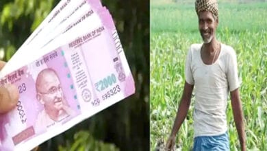 Farmer-amravati-mandal