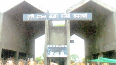 APMC-amravati-mandal