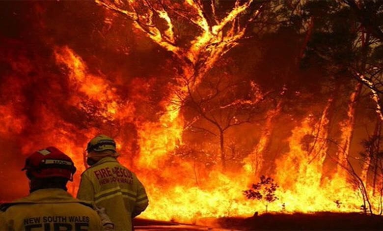 Fire-amravati-mandal