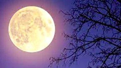 Supermoon-amravati-mandal