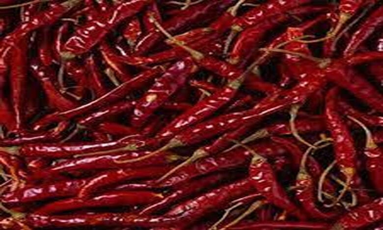 Chilli-Amravati-Mandal