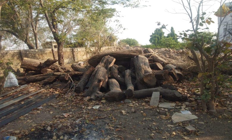 Nilami-Amravati-Mandal