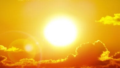 Summer-Amravati-Mandal