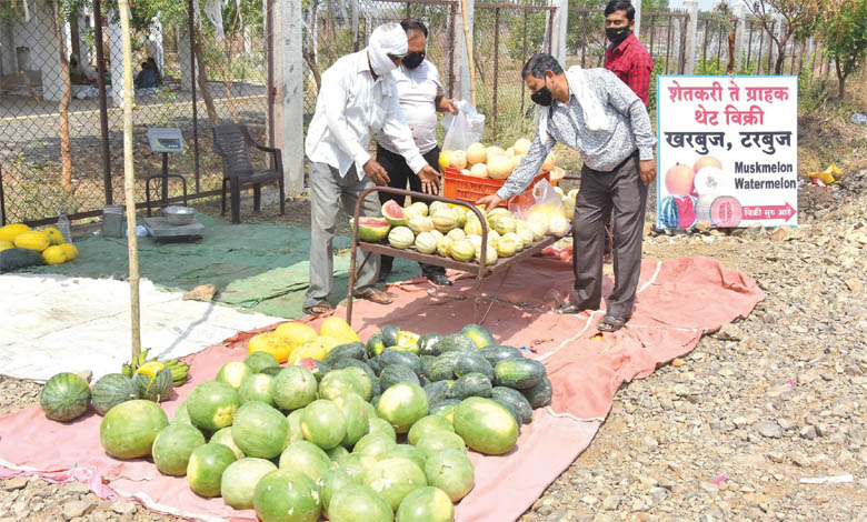 tarbuj-amravati-mandal