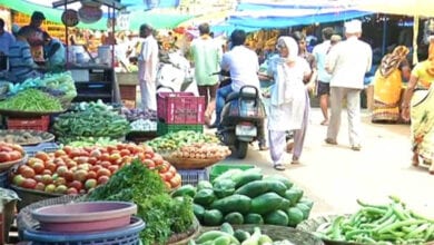 vegetables-amravati-mandal