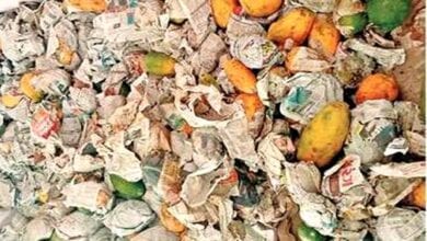 Fruit-amravati-mandal