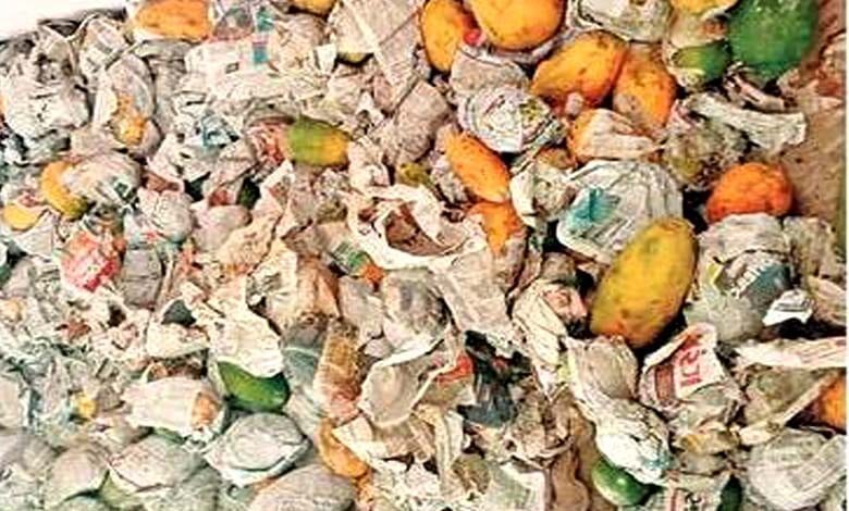 Fruit-amravati-mandal